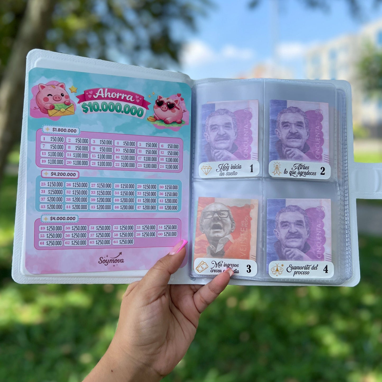 AGENDA AHORRO 10 MILLONES - DOLLY