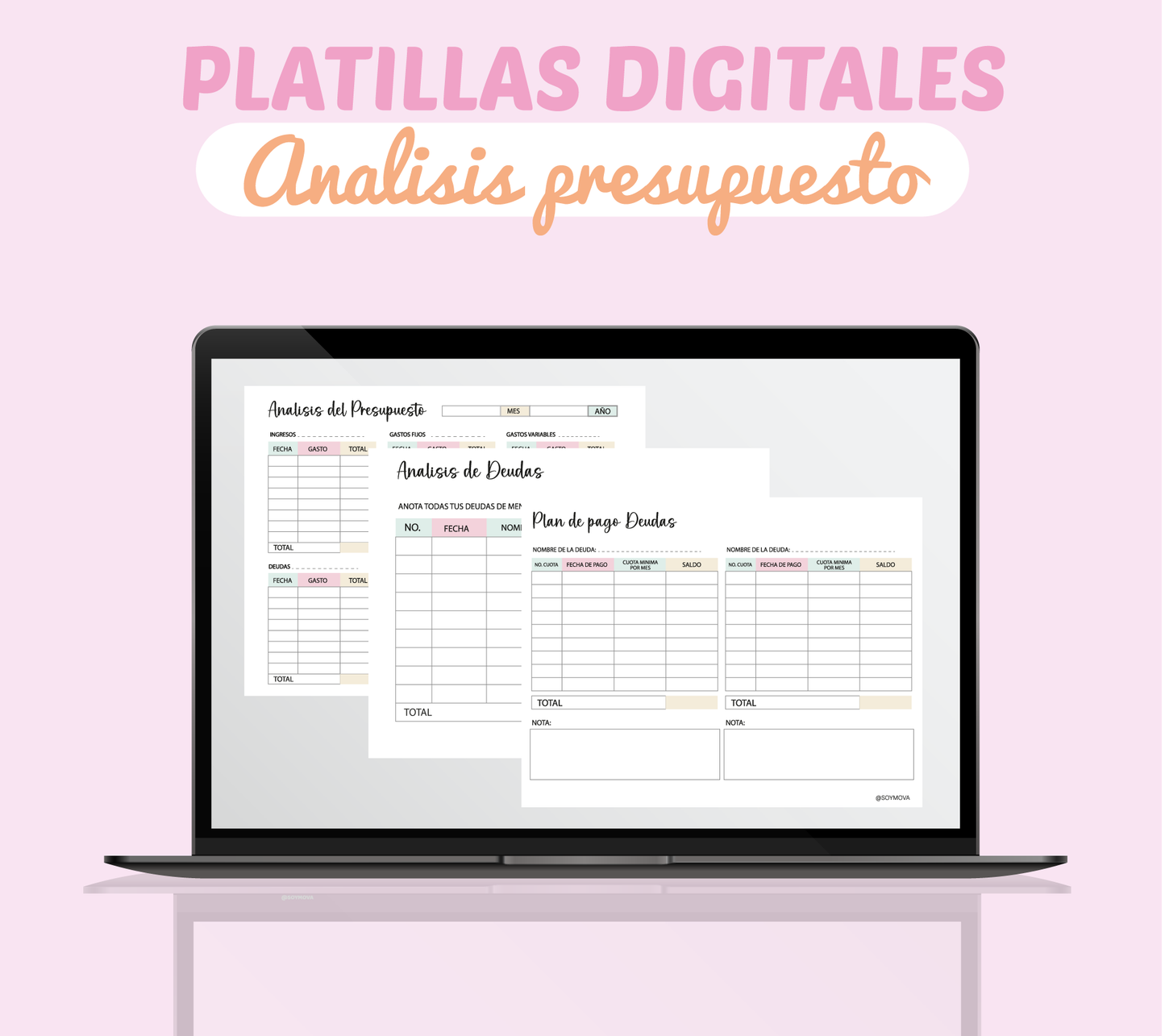 ANALISIS DE PRESUPUESTO