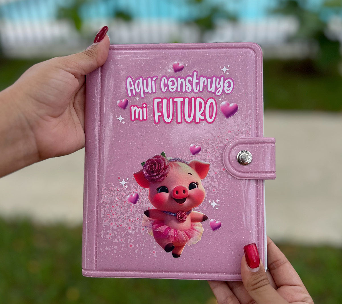 Agenda de Ahorro 10 o 20 millones - Cerdita